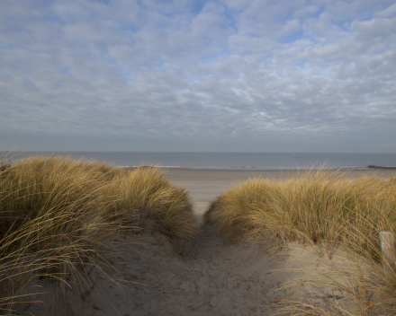 De zee als spiegel van je onbewuste